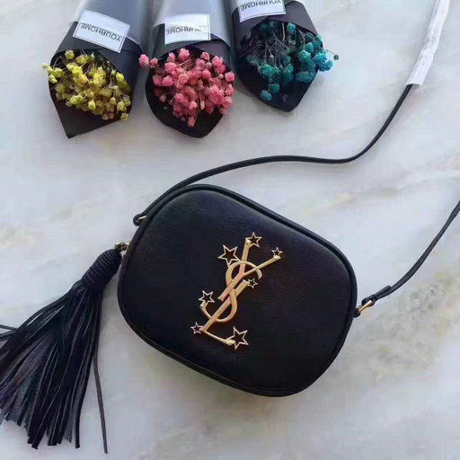 2017 Yves Saint Laurent Camera Leather Cross-Body Bag with metal stars logo